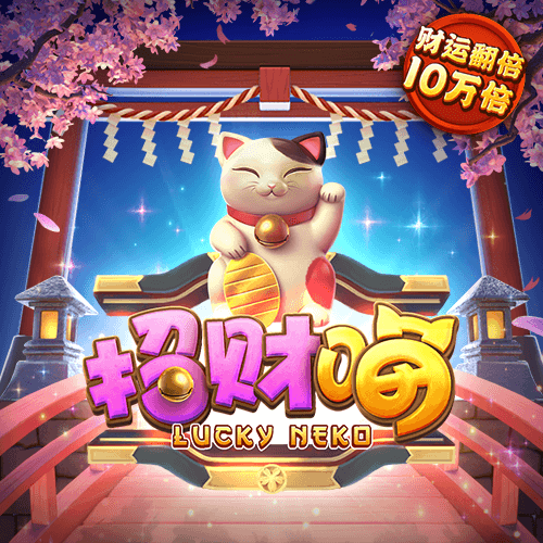 九州体育官方网站入口